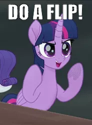 Size: 256x348 | Tagged: safe, derpibooru import, screencap, rarity, twilight sparkle, my little pony: the movie, bender bending rodriguez, caption, do a flip, futurama, image, image macro, jpeg, text, yelling