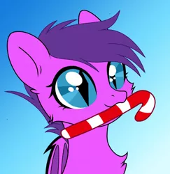 Size: 700x720 | Tagged: safe, artist:lunasapphire, derpibooru import, oc, oc:melody bliss, bat pony, pony, bat pony oc, bat wings, candy, candy cane, chest fluff, christmas, commission, female, food, holiday, image, jpeg, mare, solo, trans female, transgender, wings, ych result