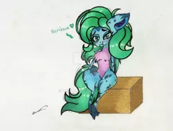 Size: 1280x967 | Tagged: safe, artist:luxiwind, derpibooru import, oc, oc:indigo, bat pony, pony, bat pony oc, bat wings, cute, deviantart watermark, female, fluffy, french text, image, jpeg, obtrusive watermark, sitting, traditional art, watermark, wings