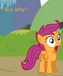 Size: 717x866 | Tagged: artist needed, safe, derpibooru import, scootaloo, pegasus, pony, derpibooru, twibooru, but why, caption, female, filly, image, jpeg, juxtaposition, juxtaposition bait, juxtaposition win, meme, meta, open mouth, reaction image, shocked, solo, text, toilet