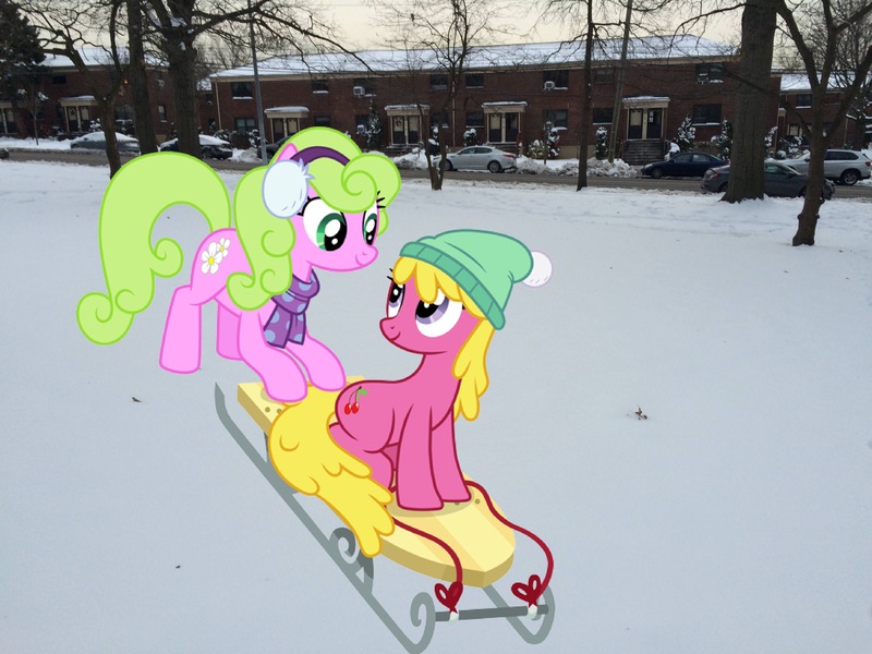 Size: 3264x2448 | Tagged: safe, artist:cloudyglow, artist:topsangtheman, derpibooru import, cherry berry, daisy, flower wishes, earth pony, pony, hill, image, irl, jpeg, park, photo, ponies in real life, sled, snow