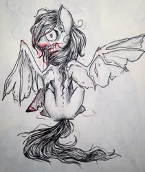 Size: 1080x1278 | Tagged: safe, artist:cvanilda, derpibooru import, fluttershy, bat pony, pony, bat ponified, blood, female, flutterbat, image, jpeg, lineart, looking back, mare, race swap, sitting, solo, traditional art