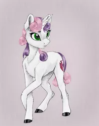 Size: 2318x2948 | Tagged: safe, artist:joestick, derpibooru import, editor:vedont, sweetie belle, pony, unicorn, cutie mark, female, filly, image, jpeg, solo, the cmc's cutie marks