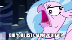 Size: 800x450 | Tagged: safe, derpibooru import, edit, edited screencap, screencap, silverstream, classical hippogriff, hippogriff, what lies beneath, angry, birb, caption, cute, denial's not just a river in egypt, diastreamies, faic, female, frown, glare, image, image macro, imgflip, i'm not cute, jpeg, madorable, open mouth, rage, silverrage, solo, spread wings, text, tsundere, wings