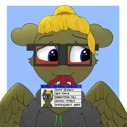 Size: 2000x2000 | Tagged: safe, artist:h3nger, derpibooru import, oc, oc:donnik, unofficial characters only, pegasus, pony, blushing, clothes, floppy ears, glasses, high res, hoodie, image, male, mouth hold, pegasus oc, png, signature, solo, stallion, wings