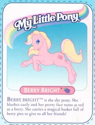Size: 577x755 | Tagged: safe, derpibooru import, official, berry bright, earth pony, pony, backcard, backcard story, g2, image, jpeg, text