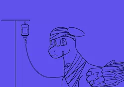 Size: 1800x1260 | Tagged: safe, artist:circumflexs, derpibooru import, oc, unofficial characters only, pegasus, pony, bald, bandage, bandaid, bands, blue background, ear down, floppy ears, folded wings, image, iv drip, male, monochrome, offscreen character, png, simple background, solo, stallion, weak, wings, wip