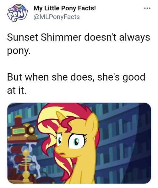 Size: 713x850 | Tagged: safe, derpibooru import, sunset shimmer, equestria girls, mirror magic, spoiler:eqg specials, image, jpeg, meta, my little pony facts, text, twitter