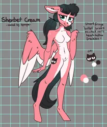 Size: 1471x1752 | Tagged: suggestive, artist:spoopygander, derpibooru import, oc, oc:sherbet cream, unofficial characters only, anthro, pegasus, pony, barbie doll anatomy, breasts, featureless breasts, female, image, mare, png, reference sheet, ribs, skinny, solo