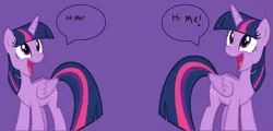 Size: 4344x2092 | Tagged: safe, artist:andoanimalia, artist:twilyisbestpone, derpibooru import, twilight sparkle, twilight sparkle (alicorn), alicorn, pony, cute, derpibooru exclusive, duality, female, happy, hi, image, mare, open mouth, png, purple background, random, self ponidox, silly, simple background, smiling, solo, speech bubble, twiabetes, vector, wat