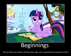 Size: 1078x860 | Tagged: safe, artist:thejboy88, derpibooru import, edit, edited screencap, screencap, twilight sparkle, friendship is magic, image, motivational poster, png