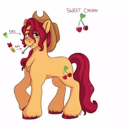 Size: 1280x1269 | Tagged: safe, artist:etchnsketches, derpibooru import, oc, oc:sweet cherry, earth pony, pony, cowboy hat, hat, image, jpeg, magical lesbian spawn, male, offspring, parent:applejack, parent:cherry jubilee, parents:cherryjack, simple background, solo, stallion, stetson, straw in mouth, white background