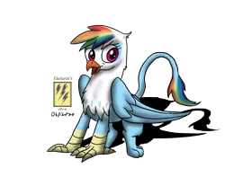 Size: 1157x1004 | Tagged: safe, artist:electuroo, derpibooru import, rainbow dash, gryphon, beak, female, griffonized, image, implied transformation, open beak, open mouth, png, rainbow griffon, simple background, smiling, solo, species swap, transparent background, vector