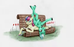 Size: 4191x2681 | Tagged: safe, artist:joestick, derpibooru import, editor:vedont, bon bon, lyra heartstrings, sweetie drops, earth pony, pony, unicorn, bench, bon bon is not amused, book, chest fluff, female, flower, high res, image, jpeg, l.u.l.s., mare, reading, silly, silly pony, unamused, upside down