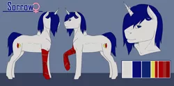 Size: 4941x2449 | Tagged: safe, artist:imreer, derpibooru import, oc, oc:sorrow, unofficial characters only, pony, unicorn, amputee, bust, commission, female, horn, image, mare, png, prosthetic leg, prosthetic limb, prosthetics, raised hoof, unicorn oc, ych result