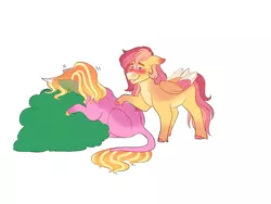 Size: 2000x1500 | Tagged: safe, artist:uunicornicc, derpibooru import, luster dawn, oc, oc:strawberry sunrise, pegasus, pony, bush, colored wings, female, image, implied vomit, mare, multicolored wings, offspring, parent:flash sentry, parent:sunset shimmer, parents:flashimmer, png, simple background, white background, wings