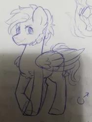 Size: 720x960 | Tagged: safe, artist:silentwolf-oficial, derpibooru import, oc, unofficial characters only, pegasus, pony, chest fluff, grayscale, image, jpeg, lineart, male, monochrome, pegasus oc, raised hoof, solo, stallion, traditional art, wings