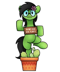 Size: 1240x1500 | Tagged: safe, artist:sugar morning, derpibooru import, edit, oc, oc:prickly pears, unofficial characters only, cactuar, cactus, flower, flower in hair, glasses, image, looking at you, mole, png, sign, simple background, stare, transparent background, vase