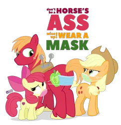 Size: 1200x1235 | Tagged: safe, artist:dm29, derpibooru import, apple bloom, applejack, big macintosh, earth pony, pony, butt, comments locked down, coronavirus, covid-19, duckery in the comments, face mask, female, filly, graveyard of comments, image, male, mare, mask, plot, png, public service announcement, simple background, stallion, text, transparent background, trio, vulgar