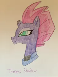 Size: 2448x3264 | Tagged: safe, artist:infernapelover, derpibooru import, tempest shadow, image, jpeg, solo