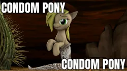 Size: 1920x1080 | Tagged: suggestive, derpibooru import, editor:apex soundwave, oc, unofficial characters only, original species, pony, snake, snake pony, cactus, caption, condom, female, hat, image, image macro, jpeg, mare, shitposting, text