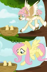 Size: 527x810 | Tagged: source needed, useless source url, safe, artist:valientminiatureobject, derpibooru import, screencap, fluttershy, bird, pegasus, pony, bird nest, image, nest, png, redesign, screencap reference, tree, tree branch, twitterina design