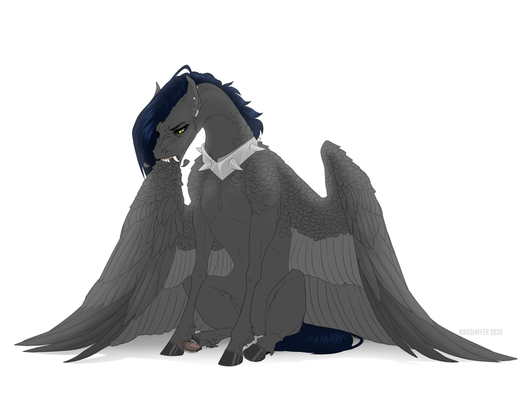 Size: 1900x1500 | Tagged: safe, artist:dementra369, derpibooru import, oc, oc:ruby drop, pegasus, pony, collar, ear piercing, earring, fangs, female, grooming, hoers, image, jewelry, mare, piercing, png, preening, simple background, sitting, solo, spiked collar, white background