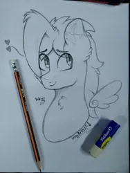 Size: 1536x2048 | Tagged: safe, artist:inkystylus12, derpibooru import, oc, oc:inky stylus, unofficial characters only, pegasus, pony, adorable face, cute, image, jpeg, sketch, smiling, solo, traditional art