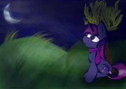 Size: 3100x2200 | Tagged: safe, artist:almaustral, derpibooru import, oc, unofficial characters only, pony, clothes, crescent moon, full moon, grass, image, moon, night, png, scarf, solo, tree