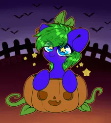 Size: 2000x2200 | Tagged: safe, artist:etoz, derpibooru import, oc, oc:aquagrass, unofficial characters only, bat, pony, blushing, chibi, commission, cute, female, halloween, holiday, image, mare, png, pumpkin, smiling, starry eyes, stars, wingding eyes, ych result