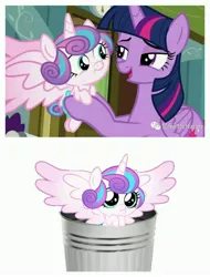 Size: 3106x4096 | Tagged: safe, derpibooru import, screencap, princess flurry heart, twilight sparkle, alicorn, abuse, flurrybuse, image, jpeg, op is a duck, op is trying to start shit, trash can, twilight sparkle (alicorn)