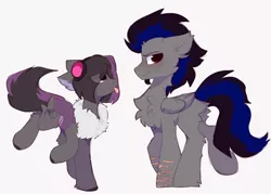 Size: 1648x1182 | Tagged: safe, artist:little-sketches, derpibooru import, oc, oc:mimicry, oc:shade, unofficial characters only, original species, pegasus, pony, butt fluff, chest fluff, eye clipping through hair, floppy ears, fluffy, image, png, purple changeling, scar, simple background, tongue out