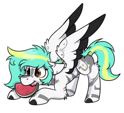 Size: 1132x1032 | Tagged: safe, artist:rokosmith26, derpibooru import, oc, oc:rokosmith, unofficial characters only, pegasus, pony, cute, eating, female, floppy ears, food, heterochromia, image, leaning, looking down, mare, markings, png, short hair, short mane, simple background, solo, spread wings, tail, transparent background, tribal markings, watermelon, wings