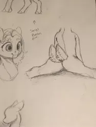 Size: 1536x2048 | Tagged: safe, artist:miokomata, derpibooru import, oc, oc:clay, unofficial characters only, earth pony, pony, bust, butt, female, image, jpeg, mare, multiple tails, pencil drawing, plot, sketch, solo, splits, traditional art