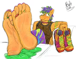Size: 3315x2573 | Tagged: suggestive, artist:fetishsketches, derpibooru import, oc, oc:sugar rush, unofficial characters only, anthro, barefoot, big feet, clothes, collar, commission, doodle, feet, fetish, foot fetish, image, leggings, male, male feet, nail polish, png, shoes, sneakers, socks, soles, solo, solo male, sweaty feet, toenail polish, toe ring