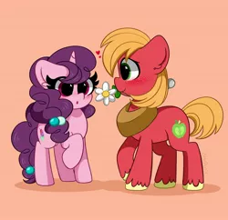Size: 3200x3100 | Tagged: safe, artist:kittyrosie, derpibooru import, big mcintosh, sugar belle, earth pony, pony, unicorn, :o, blushing, cute, female, flower, flower in mouth, image, jpeg, male, mouth hold, open mouth, profile, shipping, straight, sugarmac