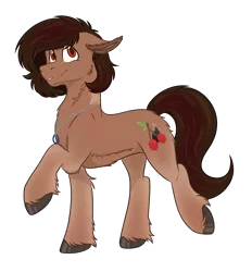 Size: 1901x2045 | Tagged: safe, artist:rokosmith26, derpibooru import, oc, oc:cherry flint, unofficial characters only, earth pony, pony, belly fluff, chest fluff, floppy ears, fluffy, happy, hoof fluff, image, jewelry, looking up, male, necklace, png, raised leg, short hair, short mane, simple background, solo, stallion, standing, transparent background