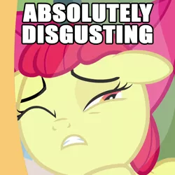 Size: 1080x1080 | Tagged: safe, derpibooru import, screencap, apple bloom, earth pony, pony, bloom and gloom, absolutely disgusting, caption, cropped, female, filly, image, image macro, png, reaction image, solo, text