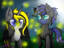 Size: 1400x1050 | Tagged: safe, artist:juliet-gwolf18, derpibooru import, oc, oc:blue moon, oc:juliet, unofficial characters only, alicorn, earth pony, firefly (insect), insect, pony, alicorn oc, duo, earth pony oc, eyelashes, female, glowing eyes, horn, image, male, mare, outdoors, png, smi, stallion, wings