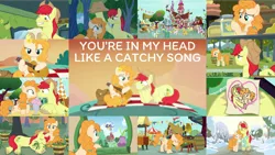 Size: 1968x1108 | Tagged: safe, derpibooru import, edit, edited screencap, editor:quoterific, screencap, bright mac, candy apples, chelsea porcelain, grand pear, granny smith, pear butter, pearly stitch, vibrant melody, bird, earth pony, pony, the perfect pear, apple family member, bipedal, bipedal leaning, blushing, bright mac's hat, brightbutter, clothes, cowboy hat, eyes closed, female, guitar, hat, honey bulb, image, ivy jive, leaning, male, mountain tune, mouth hold, musical instrument, open mouth, png, rain, scarf, shipping, smoothie, spring harvest, straight, sugarcube corner, teeth, you're in my head like a catchy song, young granny smith, younger