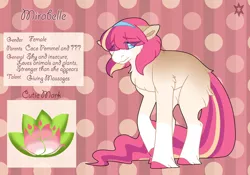 Size: 3500x2454 | Tagged: safe, artist:nobleclay, derpibooru import, oc, oc:mirabelle, earth pony, pony, abstract background, female, image, mare, offspring, parent:coco pommel, png, reference sheet, solo