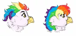 Size: 1280x612 | Tagged: safe, artist:shimazun, derpibooru import, oc, oc:rainbow feather, unofficial characters only, hippogriff, alternate hairstyle, beak, image, interspecies offspring, jpeg, magical lesbian spawn, messy hair, multicolored hair, offspring, parent:gilda, parent:rainbow dash, parents:gildash, rainbow hair, simple background, solo, white background