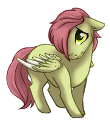 Size: 315x350 | Tagged: safe, artist:amiookamiwolf, derpibooru import, oc, oc:aglais, unofficial characters only, pegasus, pony, colt, image, male, offspring, parent:big macintosh, parent:fluttershy, parents:fluttermac, png, simple background, solo, transparent background