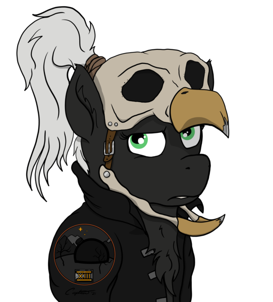 Size: 4321x4791 | Tagged: safe, artist:capt-sierrasparx, derpibooru import, oc, oc:blink(foe), pegasus, pony, fallout equestria, bust, clothes, ex-raider, fallout, female, foe adventures, grumpy, helmet, image, jacket, mare, patch, png, ponytail, skull