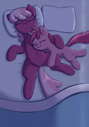 Size: 2080x2952 | Tagged: safe, artist:heretichesh, derpibooru import, cheerilee, ruby pinch, earth pony, pony, unicorn, aunt and niece, bed, blanket, blushing, cute, drool, duo, family, female, filly, happy, hug, image, mare, pillow, png, sleeping