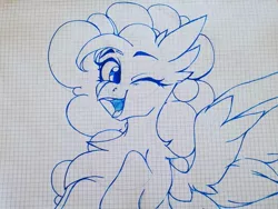 Size: 1080x810 | Tagged: safe, artist:tessa_key_, derpibooru import, pinkie pie, gryphon, pony, bust, buts, chest fluff, ear fluff, eyelashes, graph paper, griffonized, image, jpeg, lineart, one eye closed, solo, species swap, traditional art, wings, wink
