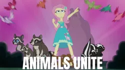 Size: 1280x720 | Tagged: safe, derpibooru import, edit, edited screencap, screencap, fluttershy, bear, bird, raccoon, skunk, squirrel, equestria girls, equestria girls series, stressed in show, stressed in show: fluttershy, spoiler:eqg series (season 2), clothes, female, geode of fauna, hairpin, image, jewelry, jpeg, low angle, magical geodes, necklace, sandals