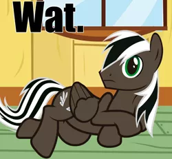 Size: 1280x1181 | Tagged: safe, artist:spectty, derpibooru import, oc, oc:spectty, pegasus, ask, caption, draw me like one of your french girls, image, image macro, lying, lying down, lying on the floor, meme, pegasus oc, png, presenting, puzzled, striped tail, text, tumblr, two toned mane, wat, wings