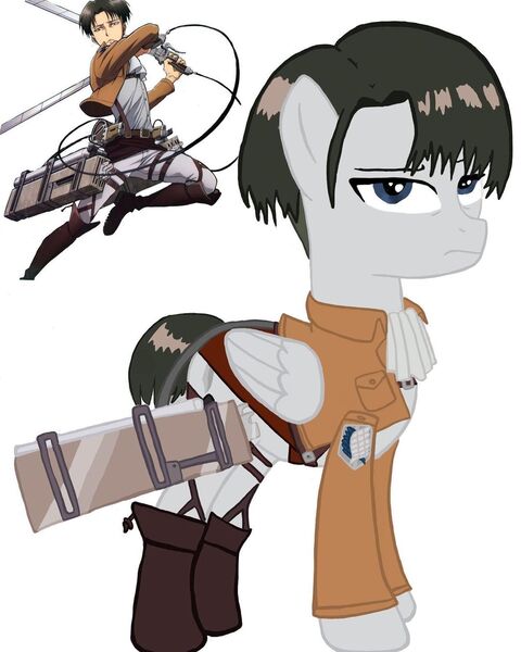 Size: 1080x1350 | Tagged: safe, artist:ponyrefaa, derpibooru import, ponified, human, pegasus, pony, attack on titan, clothes, crossover, duo, image, jpeg, levi ackerman, male, simple background, stallion, white background