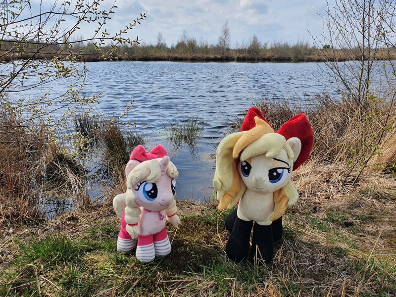 Size: 4032x3024 | Tagged: safe, artist:xeto_de, derpibooru import, oc, oc:wingblossom, image, irl, jpeg, nationalpark de groote peel, netherlands, photo, plushie